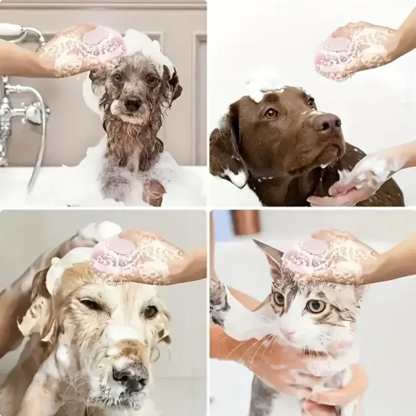 Cepillo de Baño